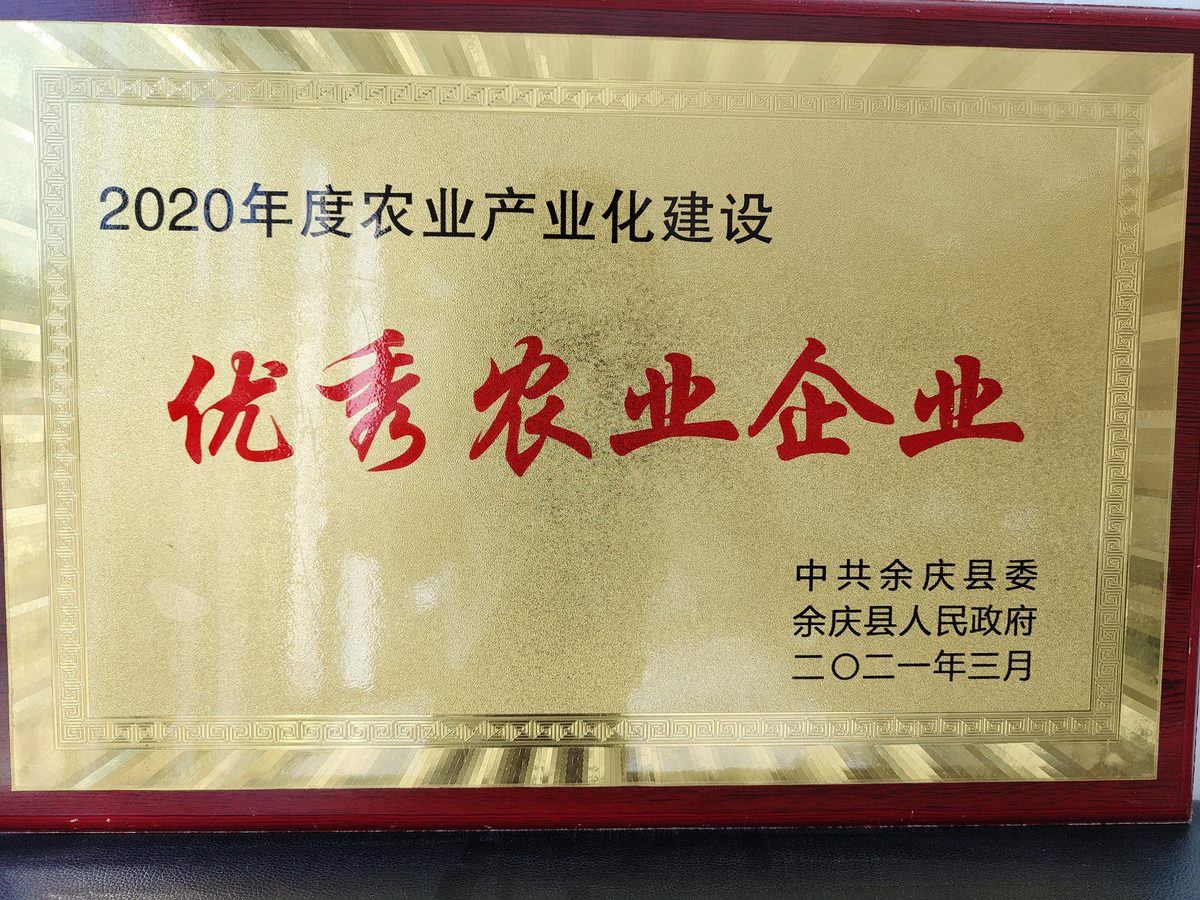 优秀农业企业奖牌