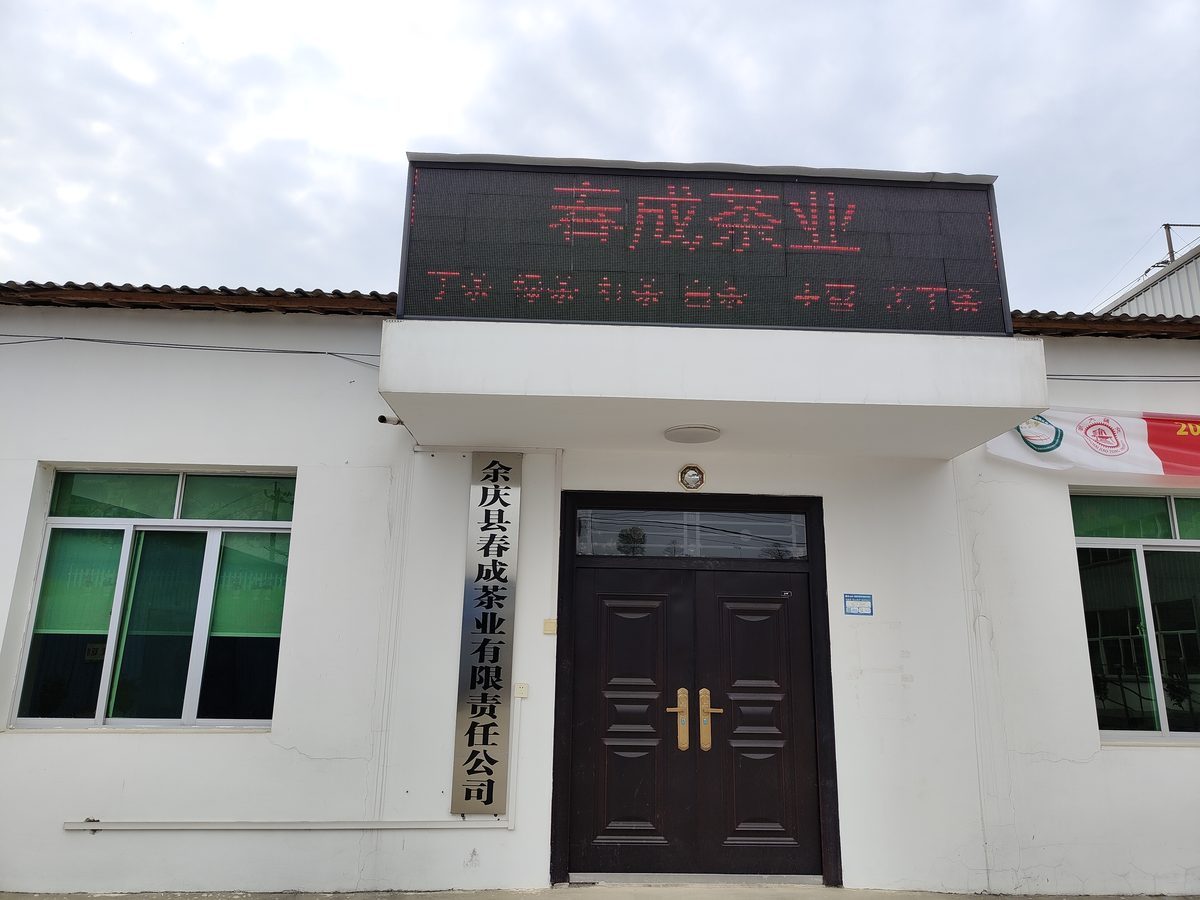 春成茶业接待厅与产品展示柜