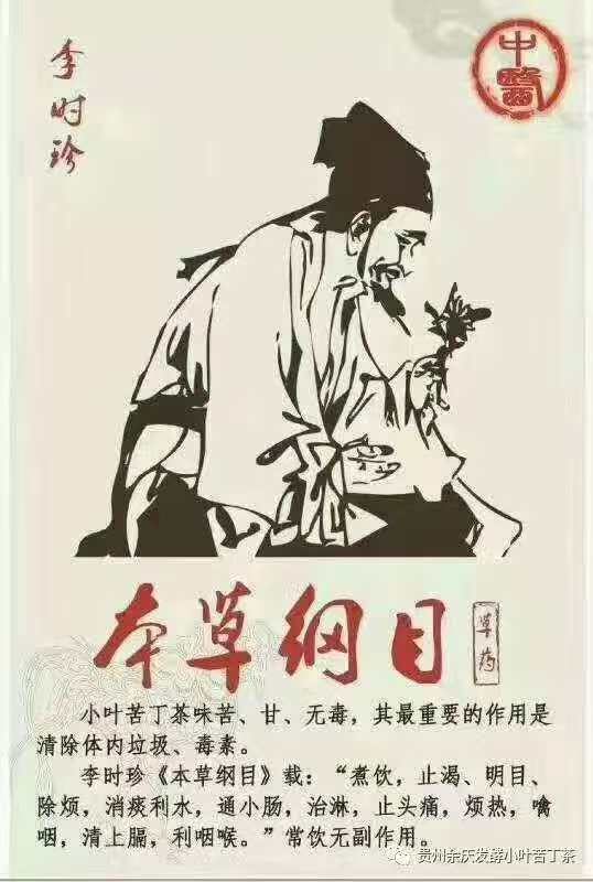 本草纲目·李时珍记载苦丁茶
