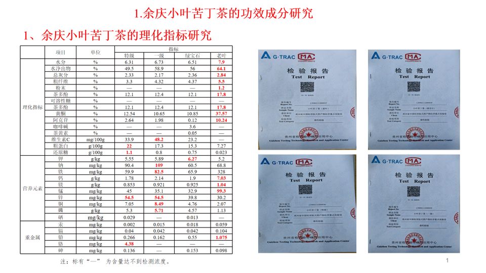 余庆小叶苦丁茶理化指标研究表